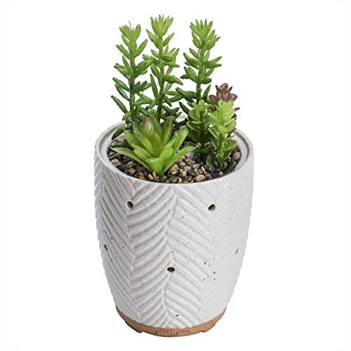 Essential Oil Diffuser, Artificial Succulent Plants Potted Diffusers