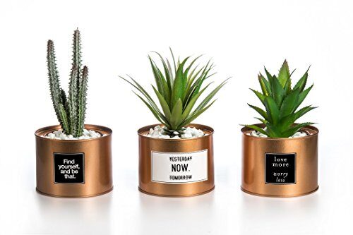 Opps Mini Artificial Plants Plastic Green Grass Cactus